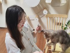 -楼上猫咖(罗湖店)