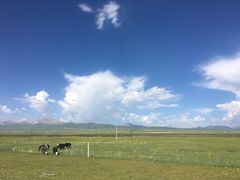 -青海湖国家重点风景名胜区