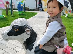 -杭州湾海上花田景区