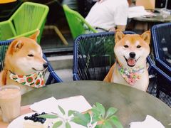 -Wagas沃歌斯(大学路店)