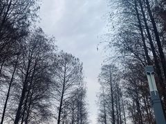景点-四海公园(南山区)