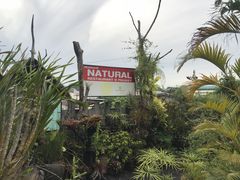 门面-自然餐厅(Phuket)