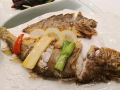 -骏莱海鲜鱼港(五角场店)