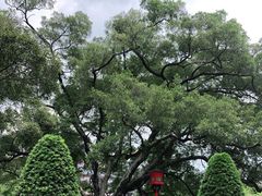 -广州中山纪念堂