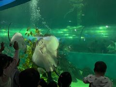 -苏州海洋馆