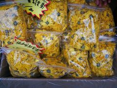 -秀丽东方