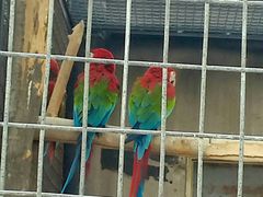 -石家庄市动物园