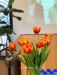 -J Eleven型人坊旗舰店