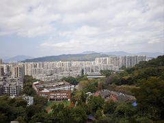 -福道