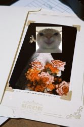 -城南旧影 旗袍全家福摄影写真体验馆