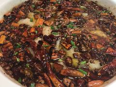 水煮鱼片-香园楼(钻石路店)