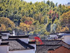 -塔川景区