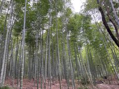 -善卷洞风景区