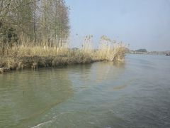 -苏州太湖国家湿地公园