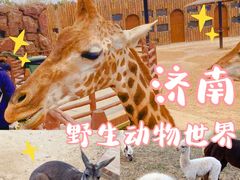 -济南野生动物世界