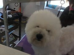 -宠颐生动物医院·心脏科·保险定点(锦阳分院)