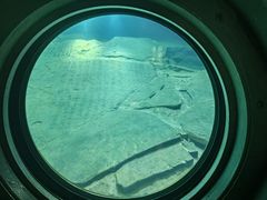 -白鹤梁水下博物馆