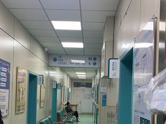 -北京观赏动物医院·24小时大型综合·猫专科·异宠专科