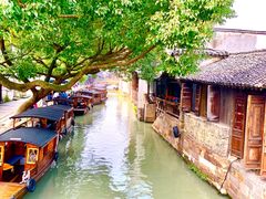 -乌镇东栅景区
