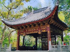 -汇龙潭