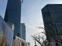 -上海波特曼丽思卡尔顿酒店