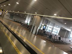 -上海浦东国际机场-T2航站楼