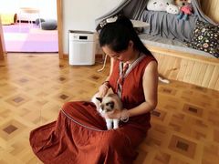 -MOYOYO猫咪咖啡店