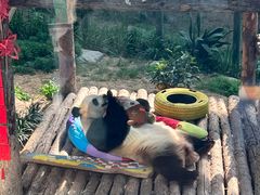 -大连森林动物园