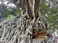 -闽粤南澳总镇府