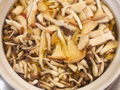 菌子-珍品轩鲜菌火锅(眉山店)