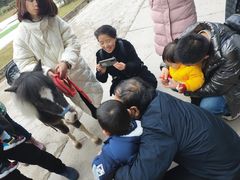 -重庆和泰马术俱乐部