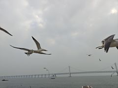 -星海广场