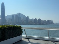 -海港城