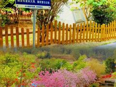 -十万大山布透温泉