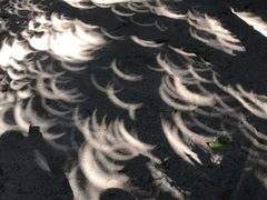 -青青世界