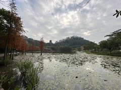 -顺峰山公园