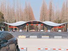 -东平国家森林公园