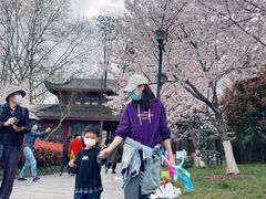 -堤角公园