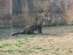 -杭州野生动物世界