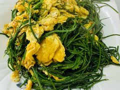 -煲来饱去冷水鱼