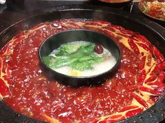 -渝大狮毛肚老火锅(普陀店)