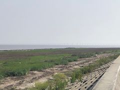 -南汇嘴观海公园