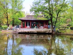 -南京古林公园