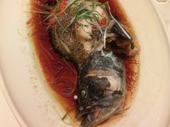 -宝轩渔府·老字号海鲜·正宗津菜(水上店)