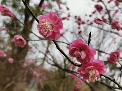 -广富林郊野公园