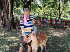 -广东花都香草世界旅游度假区