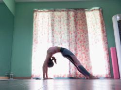 -齐伽生活馆·瑜伽·普拉提·阿育吠陀