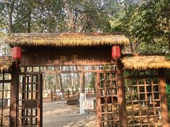 -艾溪湖湿地公园