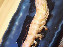 盐烤大虾-割烹旭日本料理(龙湖狮山天街店)