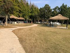 -上海长兴岛郊野公园